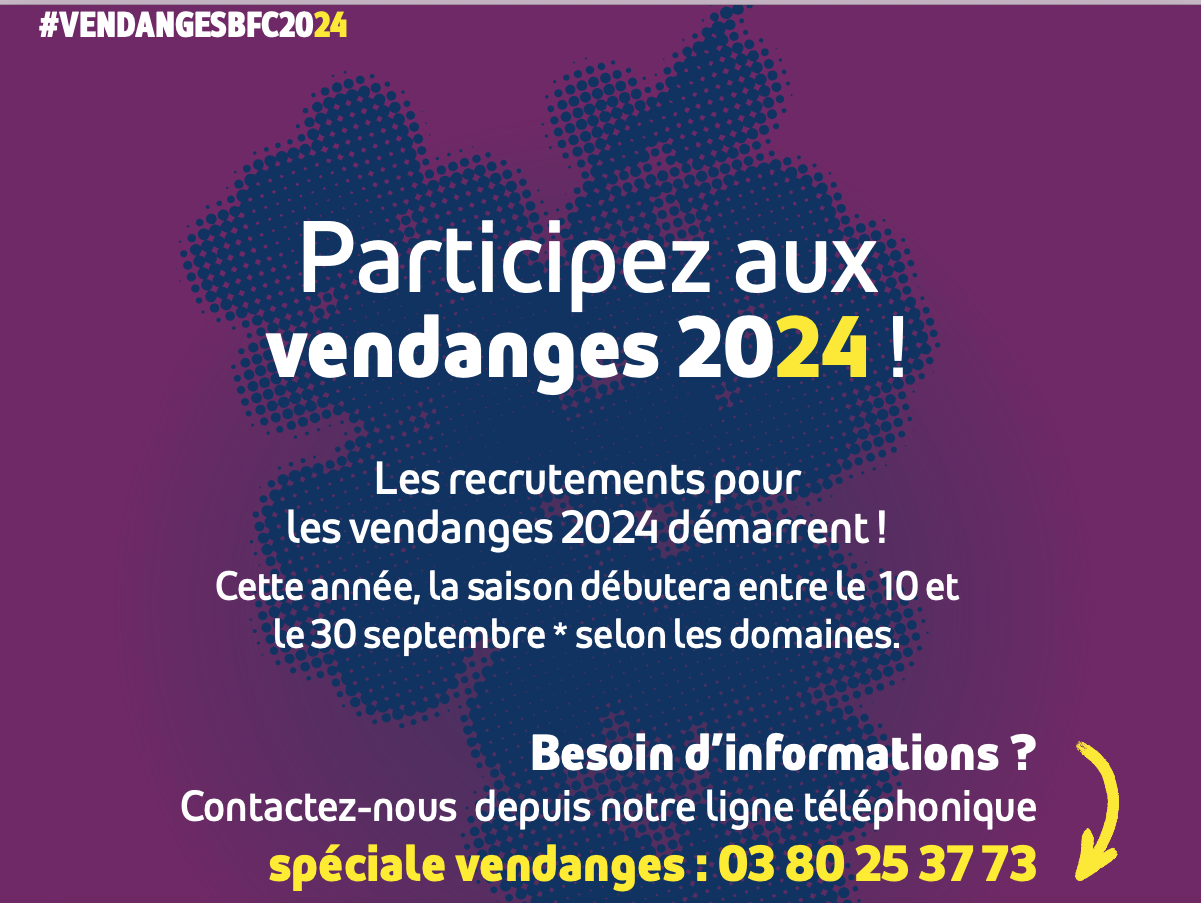 vendanges 2024